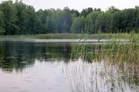 Малая кругосветка" по Вуоксе. Беличьи протоки.