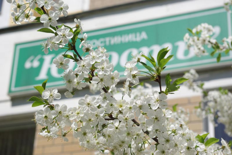 г. Брест, Живем в гостинице с замечательным названием "Юность" от ДОСААФ