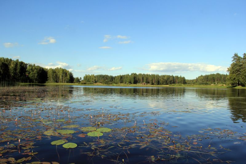 "Малая кругосветка" по Вуоксе.  В  р-не п. Мельниково