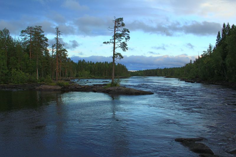 Финляндия(Лиекса). Окрестности кемпинга Нейтикоски
