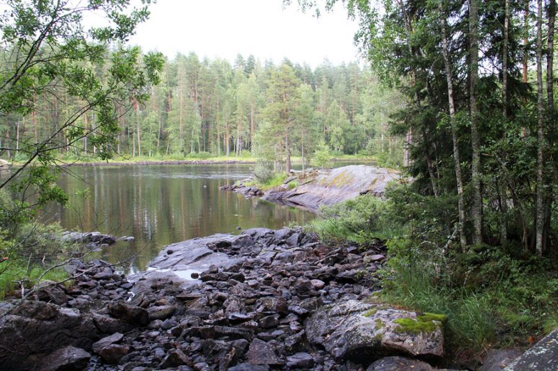  Финляндия(Лиекса). Окрестности кемпинга Нейтикоски