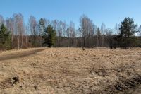 Выезд на Рощинку, 16.04.2016. Хорошее место для выхода с реки.
