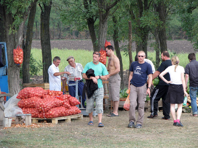 Закупаем овощи.