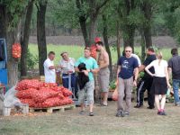 Закупаем овощи.