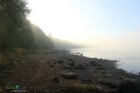 Лосево. Осень, туман.