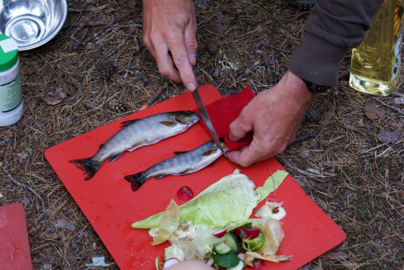 Ежегодный выезд в Норвегию, 2012г. Рецепт приготовления быстрой закуски.