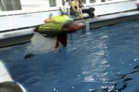 ГК "Каякер". Клубное первенство по фристайлу на гладкой воде. Выступает Александр Козырев