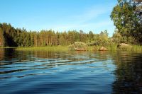 Июльские родео-сборы, Финляндия(Лиекса). Виды в районе кемпинга. Вечер.
