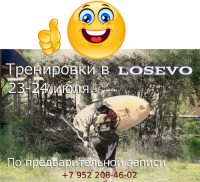 Школа каякинга в Лосево