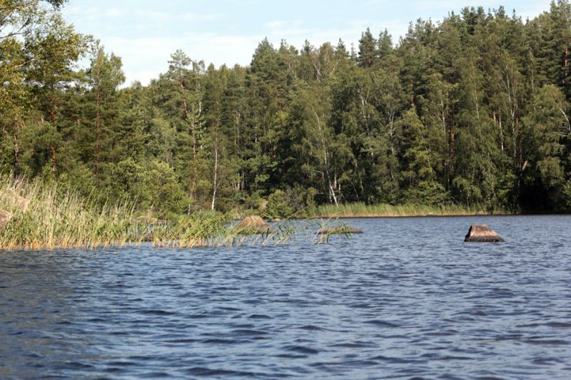 "Малая кругосветка" по Вуоксе (07.08 -09.08). В р-не п. Васильево. Васильевские протоки