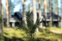 Август. Фристайл-сессия в Финляндии(Лиекса). В р-не кемпинга Нейтикоски