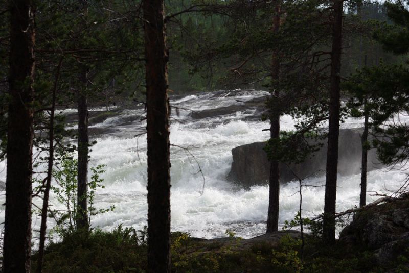 ШВЕЦИЯ, Piteälven (Trollforsarna), 2012.