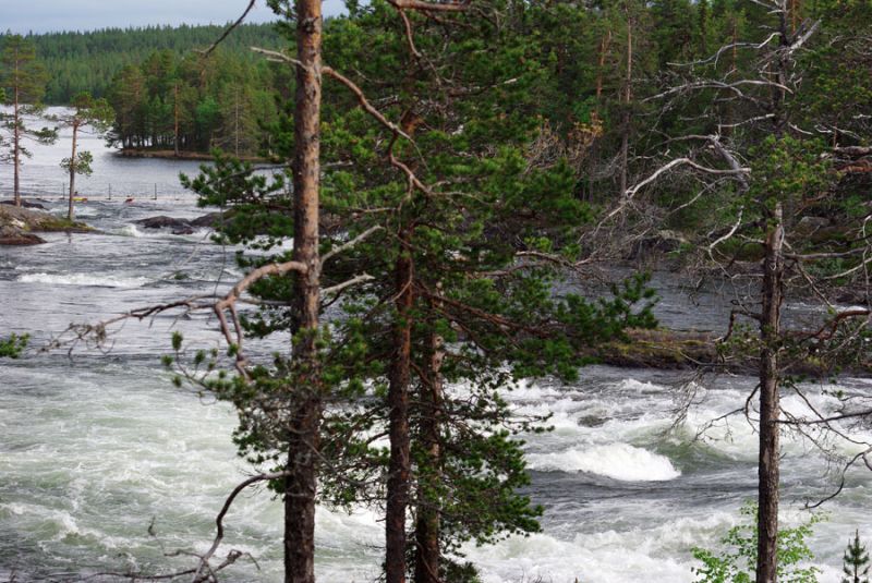 ШВЕЦИЯ, Piteälven (Trollforsarna), 2012.