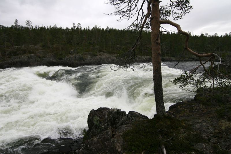 ШВЕЦИЯ, Piteälven (Trollforsarna), 2012.